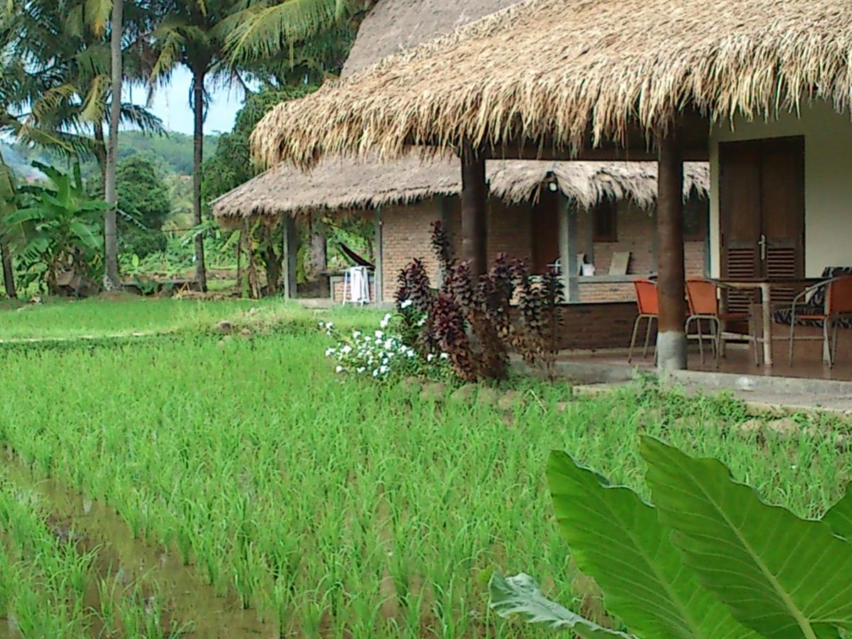 Cimajasquare Hotel & Restaurant Pelabuhan Ratu Exterior foto