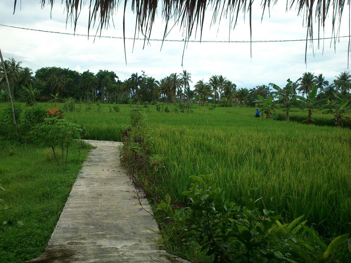 Cimajasquare Hotel & Restaurant Pelabuhan Ratu Exterior foto